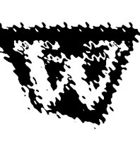 BOG_2W.TIF
