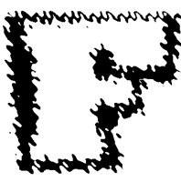 BOG_2F.TIF