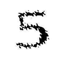 BOG_25.TIF