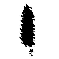 BOG_1I.TIF