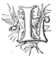 BL.TIF