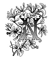X_N0.TIF