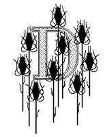X_D0.TIF