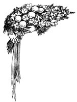 BORDERA7.TIF