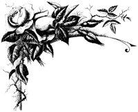 BORDER84.TIF