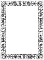 BORDER48.TIF