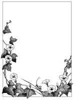 BORDER42.TIF