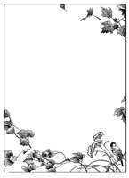 BORDER41.TIF