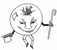TOMATE.TIF