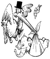 STORCH.TIF