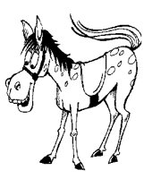 PFERD.TIF