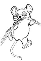 MAUS1.TIF