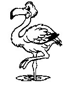 FLAMINGO.TIF