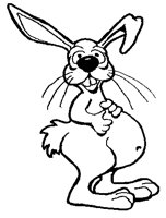 BUNNY_3.TIF