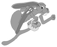 BUNNY_1.TIF