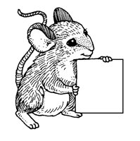 BOXMOUSE.TIF