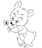 BAER.TIF