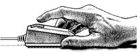 MOUSE.TIF
