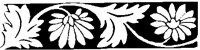 FLOWER.TIF