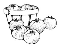 TOMATE1.TIF