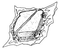 S_WICH3.TIF