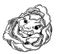 SALAT.TIF