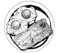 HAM_EGG.TIF