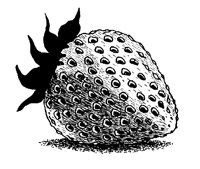 ERDBEER6.TIF