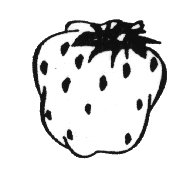 ERDBEER.TIF