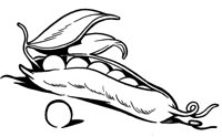 ERBSEN02.TIF