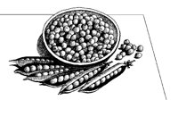 ERBSEN01.TIF