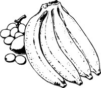 BANANE1.TIF