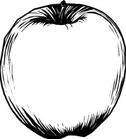 APFEL6.TIF