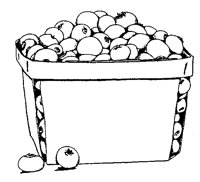 APFEL4.TIF