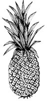 ANANAS1.TIF