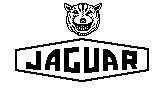 L_JAGUAR.TIF
