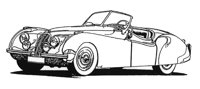 JAGUAR.TIF