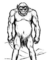 YETI.TIF