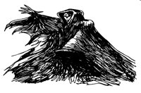 HEXER.TIF