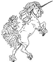 EINHORN4.TIF