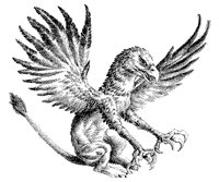 DRACHE3.TIF