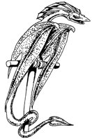 DRACHE10.TIF