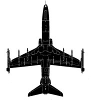 HAWK3.TIF