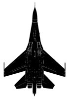 FLANKER2.TIF