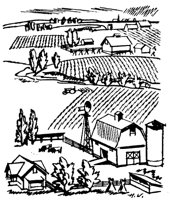 BAUERNH.TIF