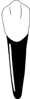 ZAHN07.TIF