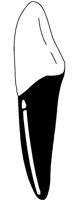 ZAHN03.TIF