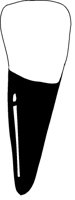 ZAHN02.TIF