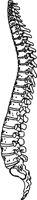 WIRBLESA.TIF