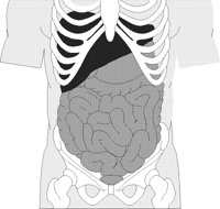TORSO.TIF